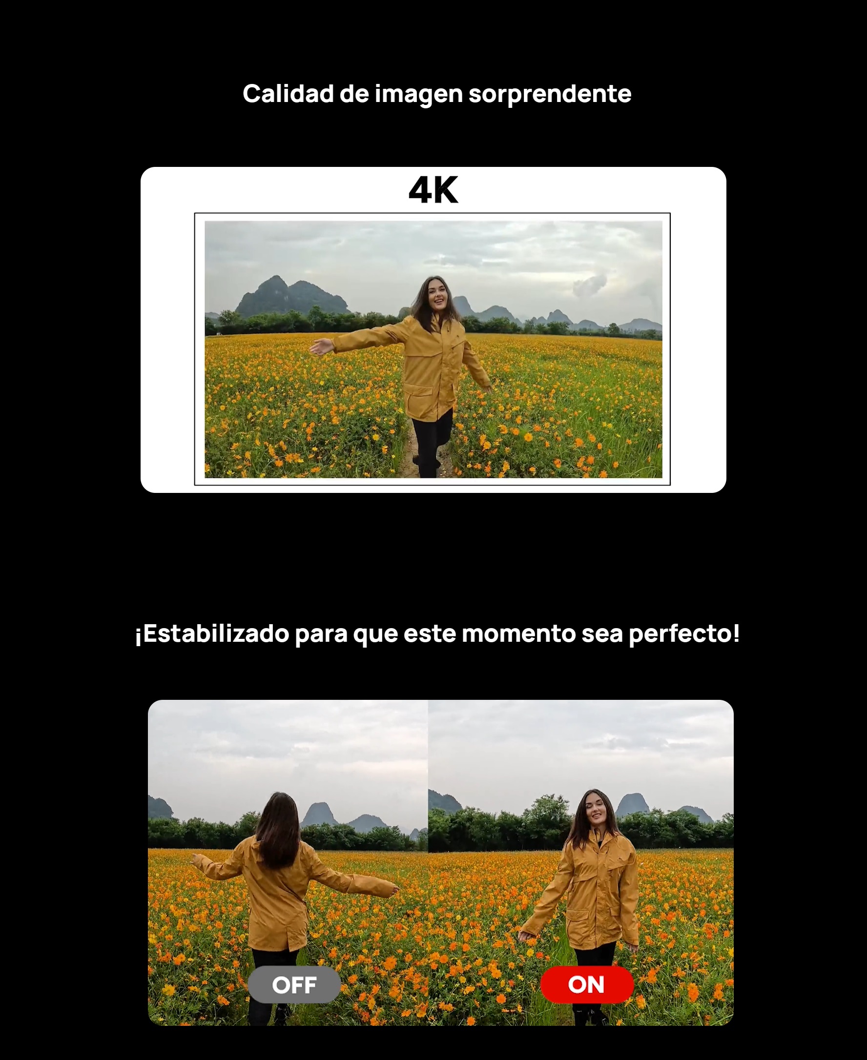 Imagen descriptiva del producto