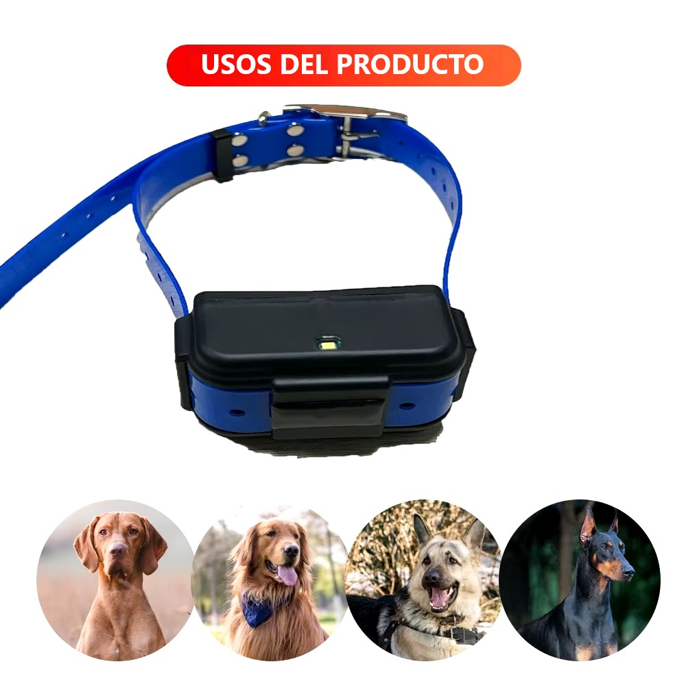 Imagen descriptiva del producto