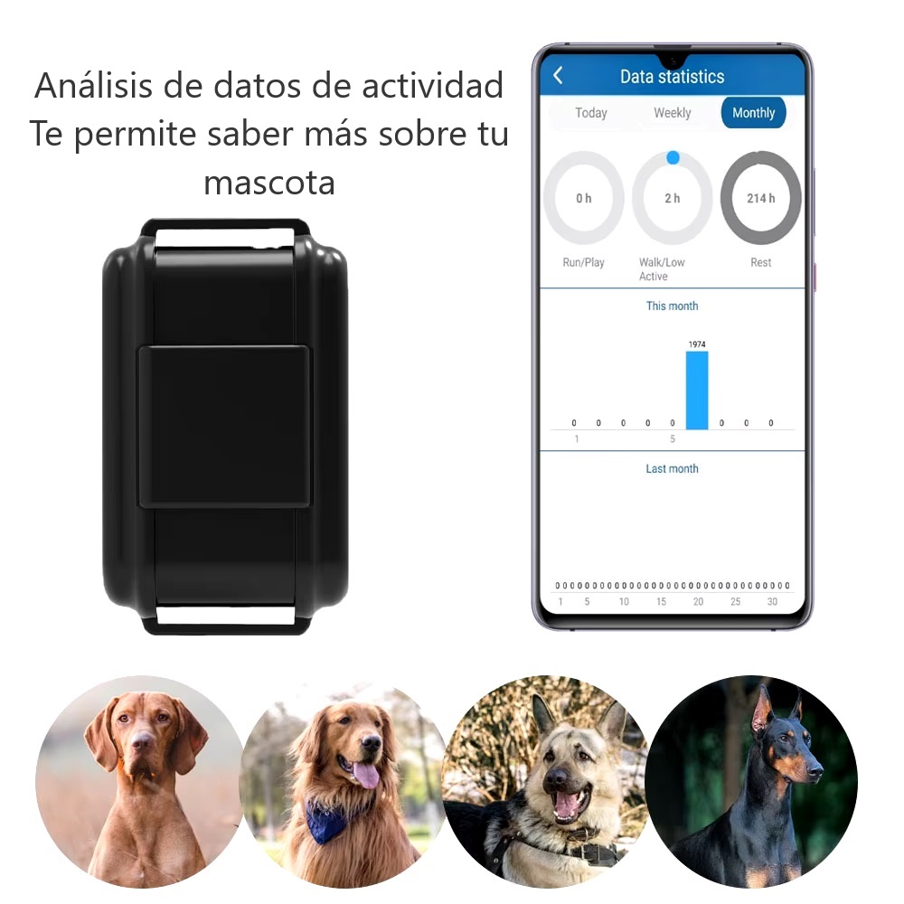 Imagen descriptiva del producto