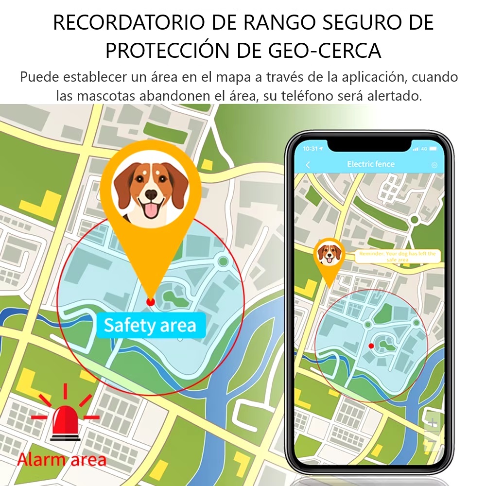 Imagen descriptiva del producto