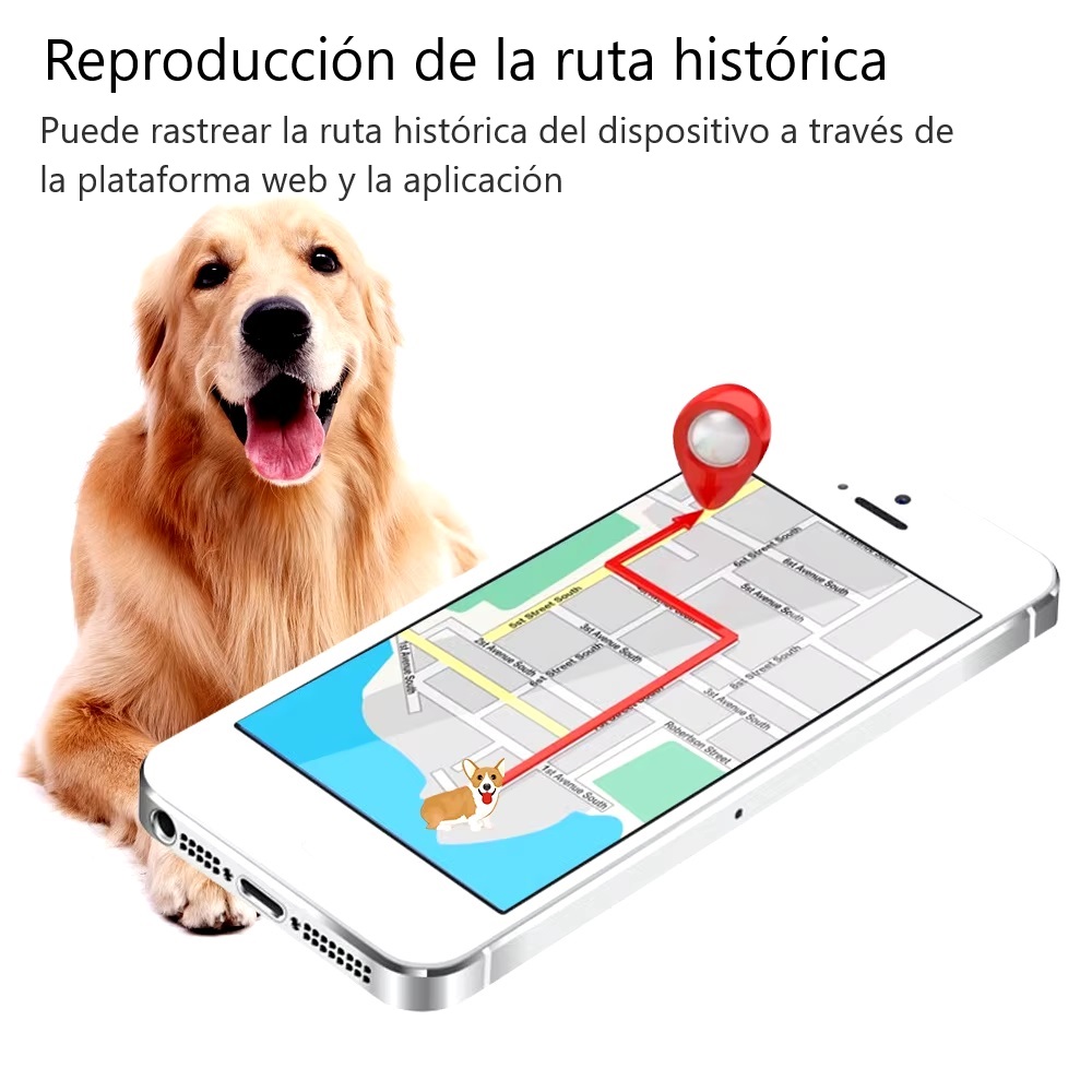 Imagen descriptiva del producto
