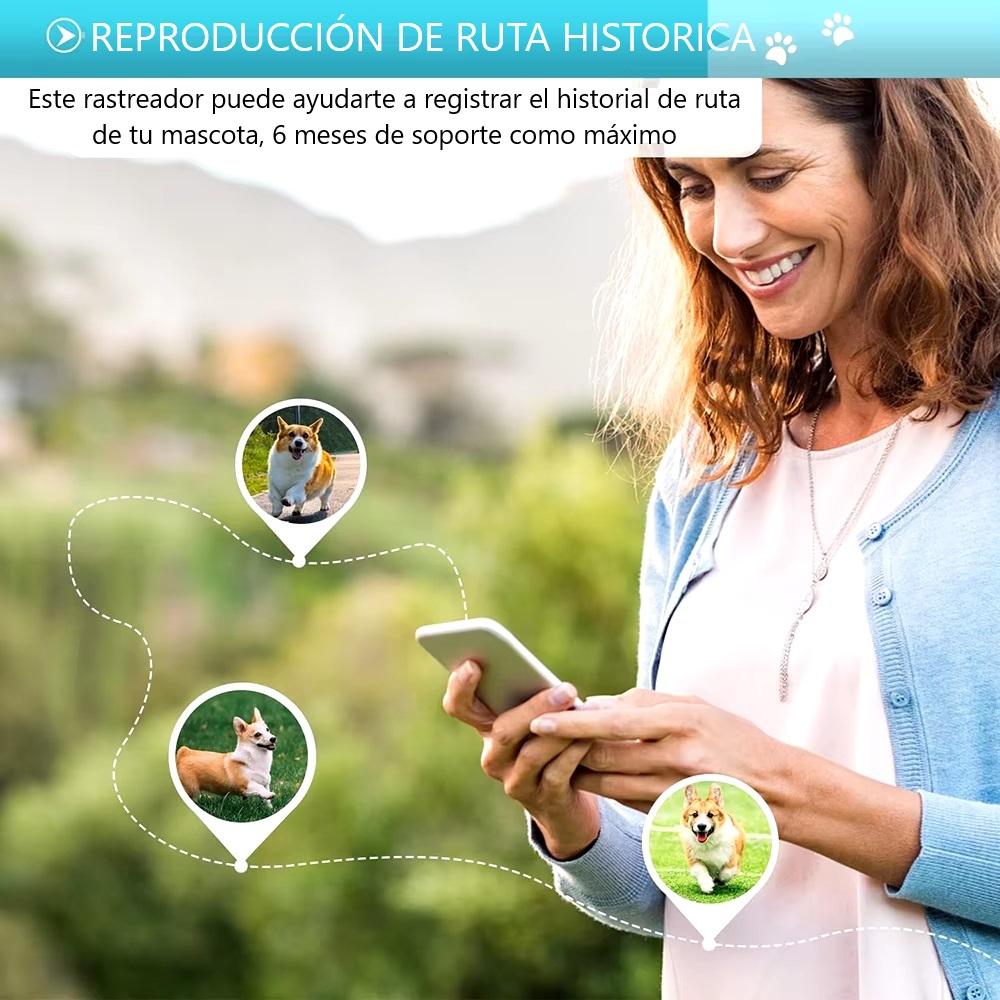 Imagen descriptiva del producto