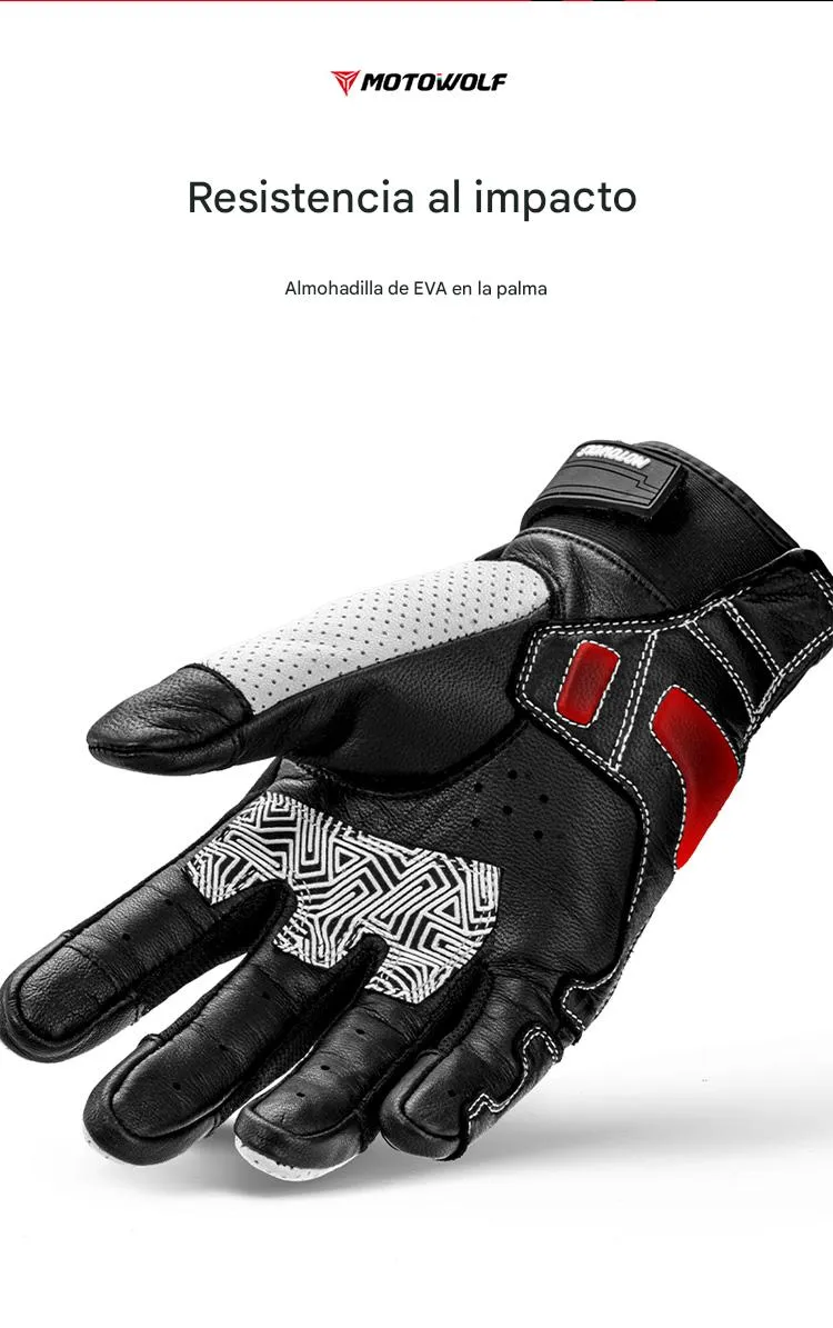 Imagen descriptiva del producto