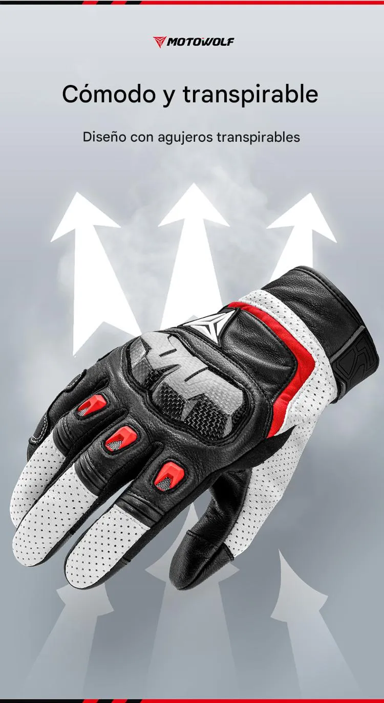 Imagen descriptiva del producto