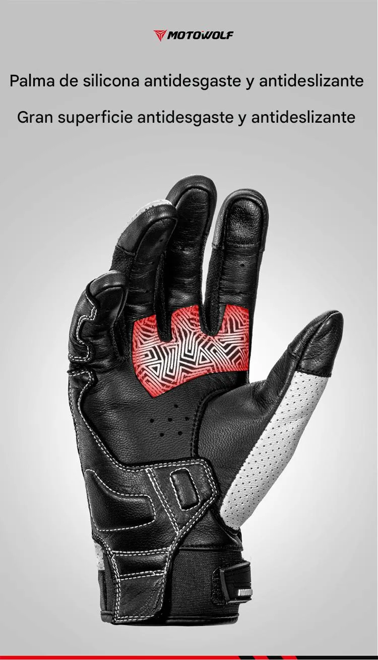 Imagen descriptiva del producto