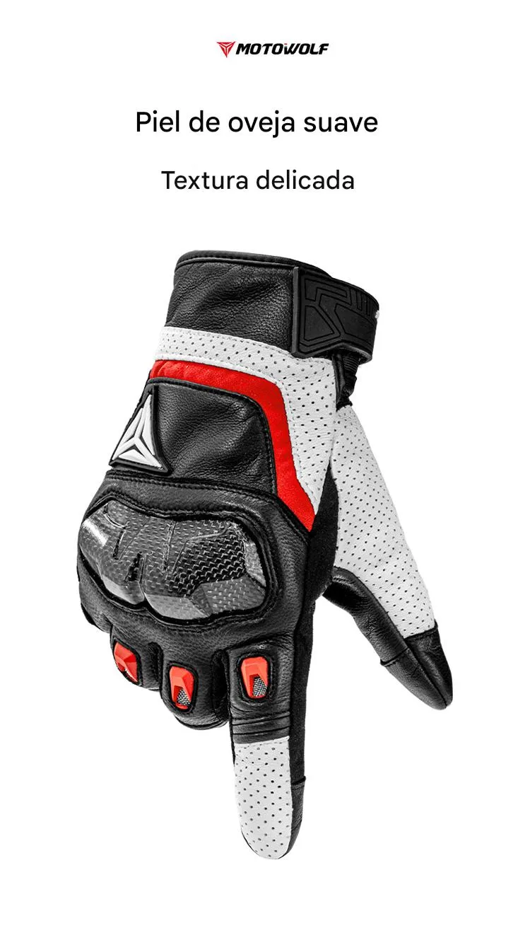 Imagen descriptiva del producto