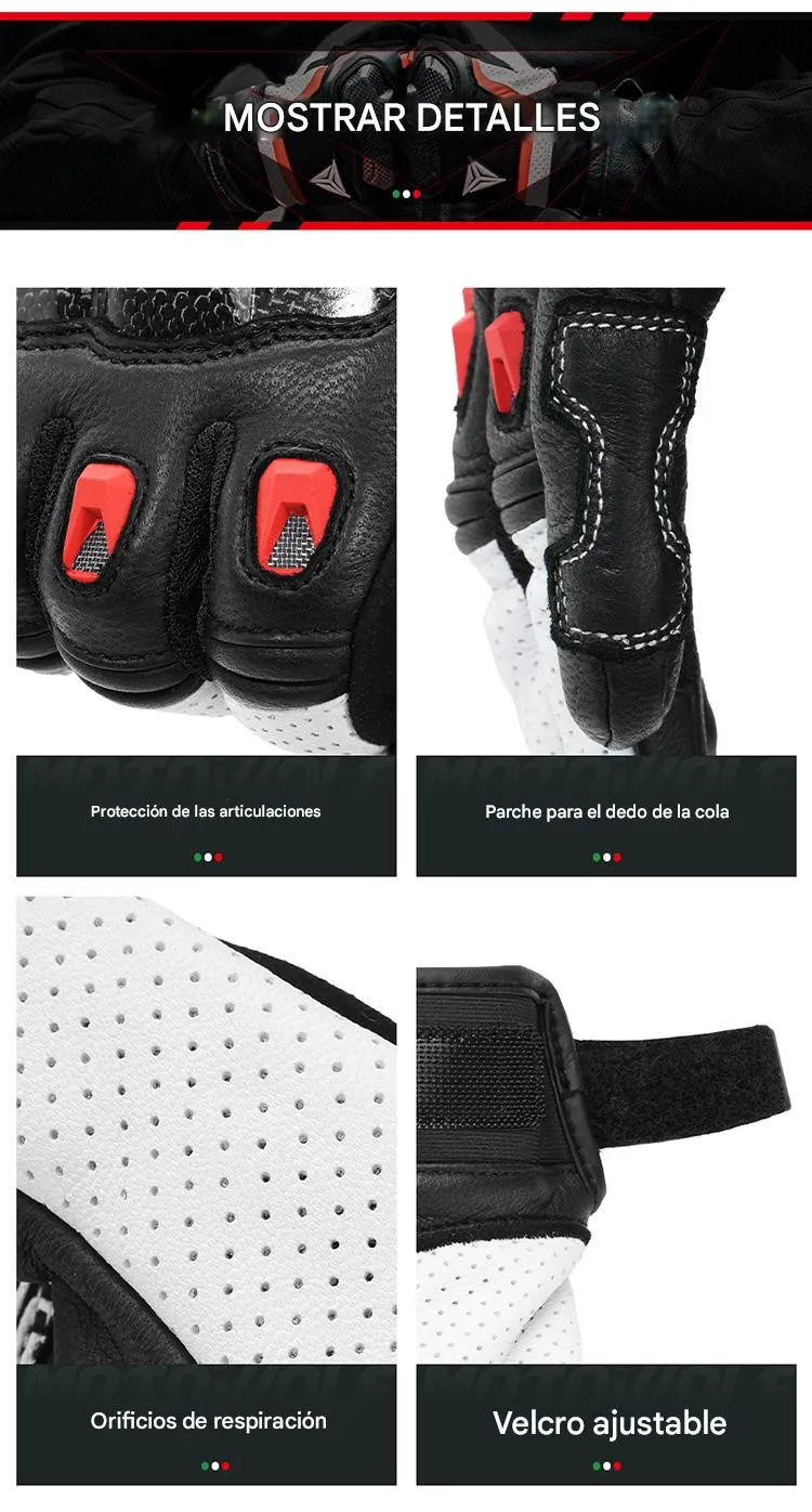 Imagen descriptiva del producto