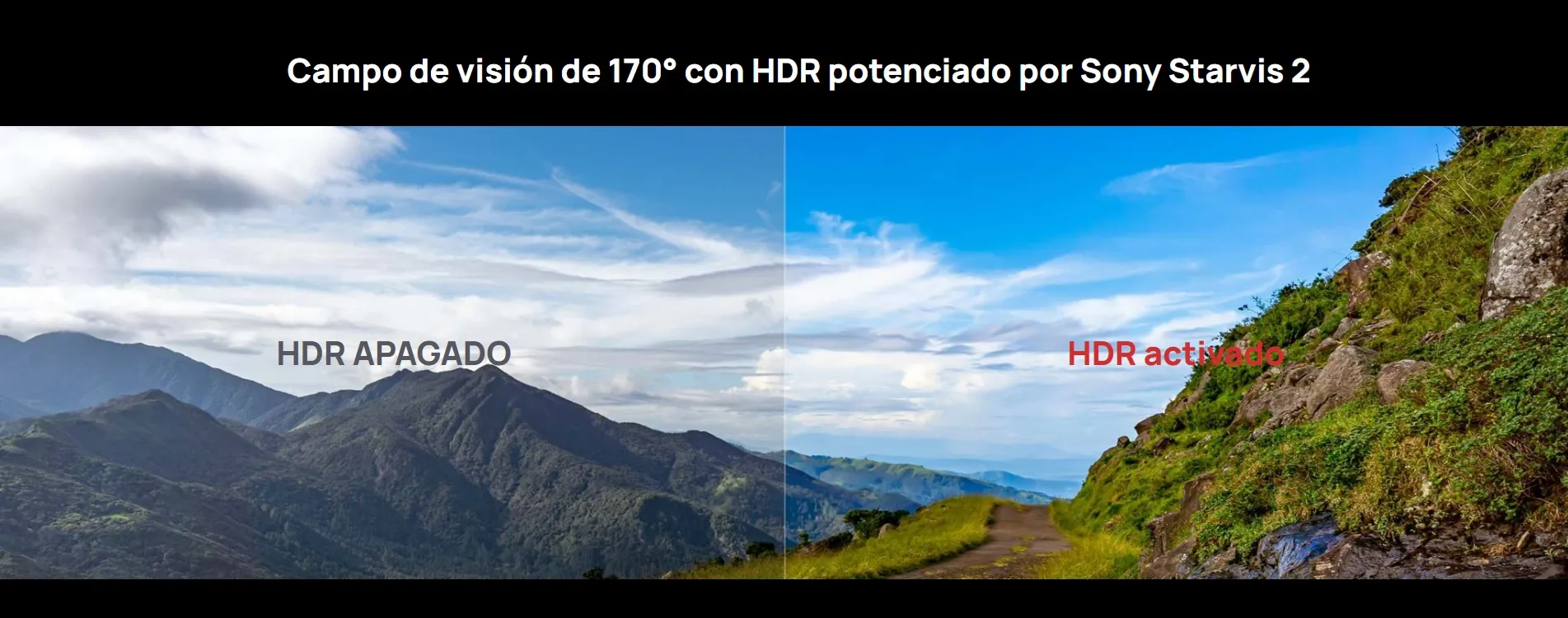 Imagen descriptiva del producto