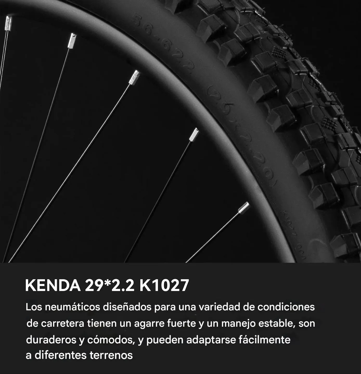 Imagen descriptiva del producto